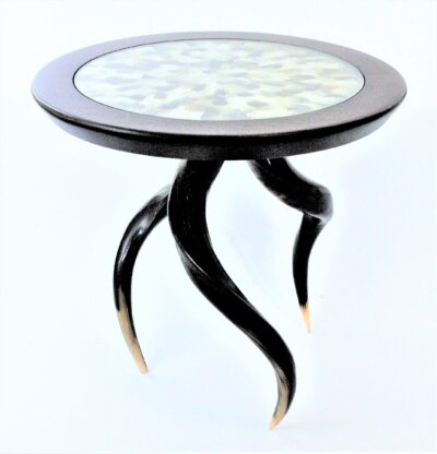 Polished Kudu side table with Wild African goose feathers