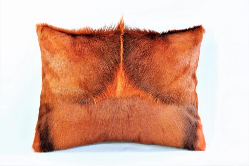 Burnt-orange Springbok envelope cushion