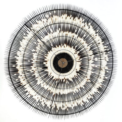 Extra Large Porcupine Quill Wall Dish 1